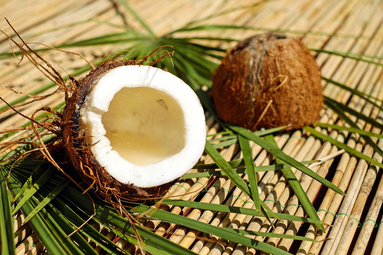 Como a água entra no coco: O segredo natural revelado