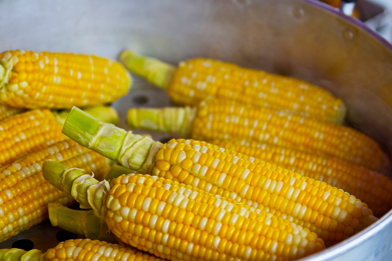 Por que o milho verde é amarelo: A ciência explica o mistério