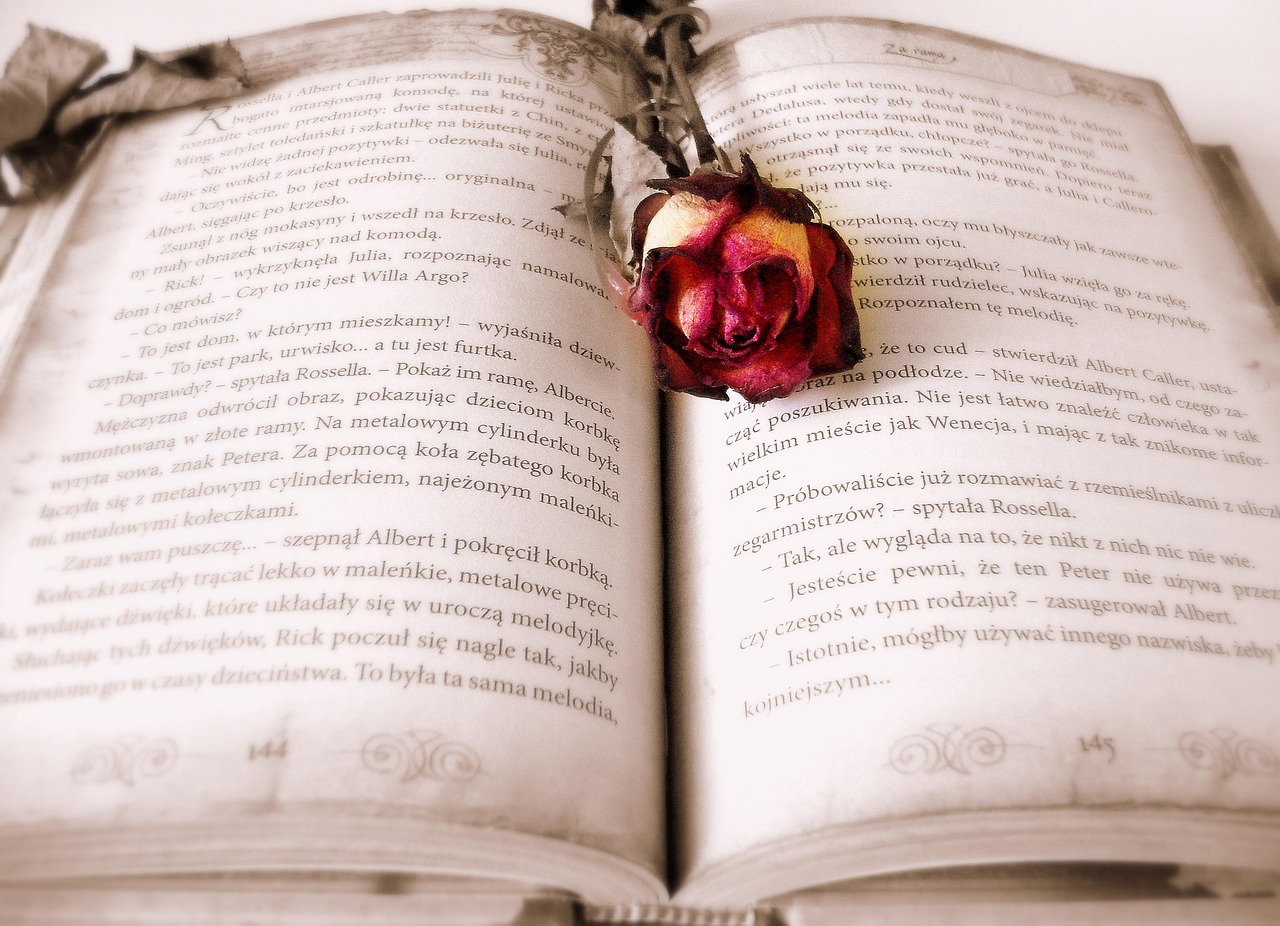 Qual o maior livro do mundo: Recordes literários impressionantes