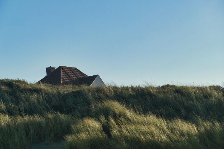 Bicho que fica na areia da praia: 5 criaturas curiosas do litoral
