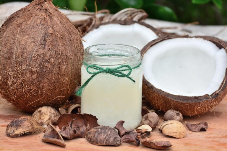 Como a água entra no coco: O segredo natural revelado