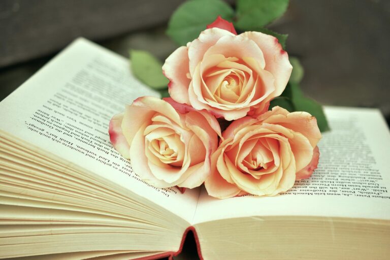 Qual o maior livro do mundo: Recordes literários impressionantes
