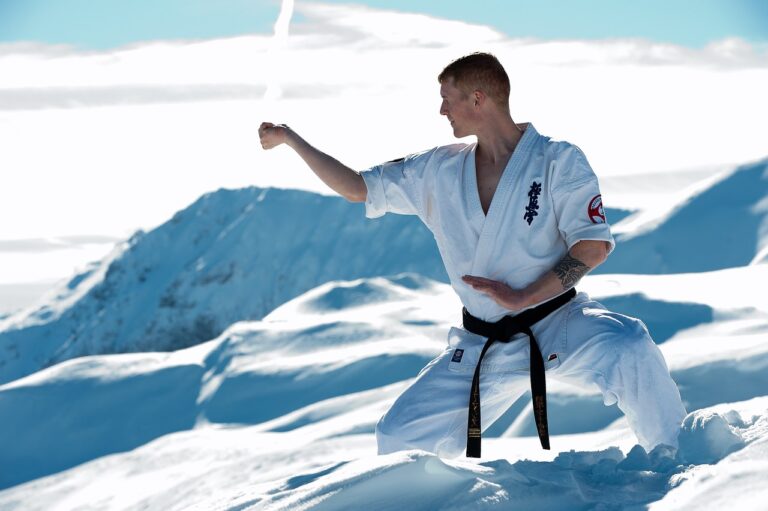 Artes marciais qual a melhor: 5 estilos para diferentes objetivos