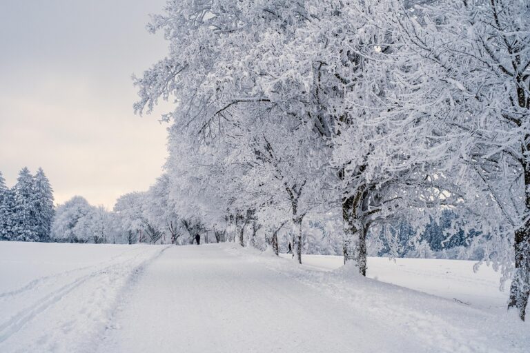 Já nevou no Brasil: Quando e onde a neve surpreendeu o país