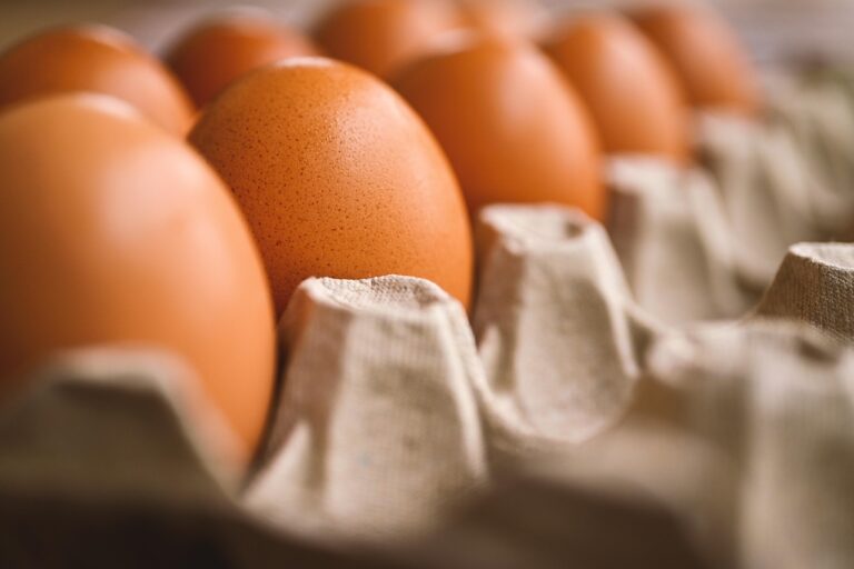 Ovo cru dá salmonella: Mitos e cuidados com o consumo de ovos
