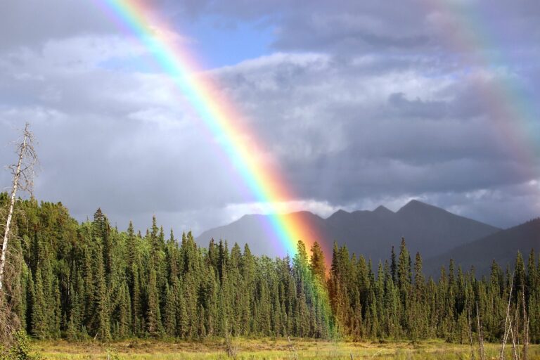 Bíblia gay: O que é e por que gera tanta polêmica Bíblia gay: O que é e por que gera tanta polêmica